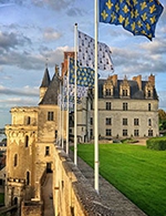 Book the best tickets for Chateau Royal D'amboise - Chateau Royal D'amboise - From 01 January 2022 to 31 December 2022