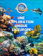 Book the best tickets for Aquarium De Saint Malo - Saison 2022 - Grand Aquarium - Saint Malo - From 21 January 2022 to 31 December 2022