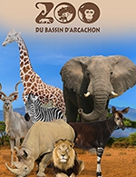 Réservez les meilleures places pour Zoo Du Bassin D'arcachon - Zoo Du Bassin D'arcachon - Du 19 avril 2022 au 31 décembre 2022