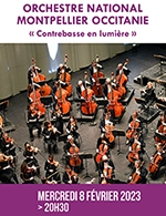 Book the best tickets for Contrebasse En Lumiere - Theatre Municipal Jean Alary - From 07 February 2023 to 08 February 2023