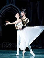 Réservez les meilleures places pour Cendrillon - Grand Ballet De Kiev - Theatre Pierre Cravey - Du 15 février 2023 au 16 février 2023