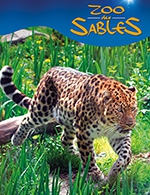Book the best tickets for Zoo Des Sables D'olonne - Zoo Des Sables D'olonne - From Feb 4, 2023 to Nov 12, 2023