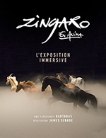 Réservez les meilleures places pour Zingaro Ex-anima - Paris Expo - Hall 5 - Du 18 février 2023 au 2 juin 2023