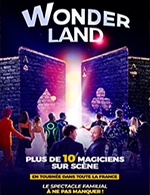 Book the best tickets for Wonderland, Le Spectacle - Narbonne Arena - From 27 January 2022 to 23 March 2023
